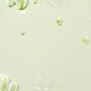 BEAUTY OF JOSEON Calming Serum Green Tea + Panthenol
