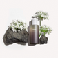 HARUHARU WONDER Black Rice Hyaluronic Toner 150ml For Sensitive Skin